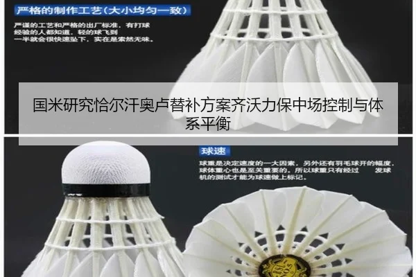 国米研究恰尔汗奥卢替补方案齐沃力保中场控制与体系平衡